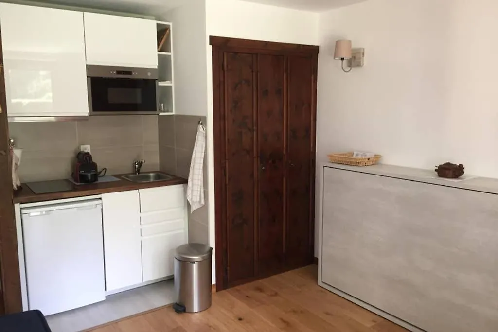 Appartement Studio au calme avec jardin et vue Mont-Blanc Chamonix