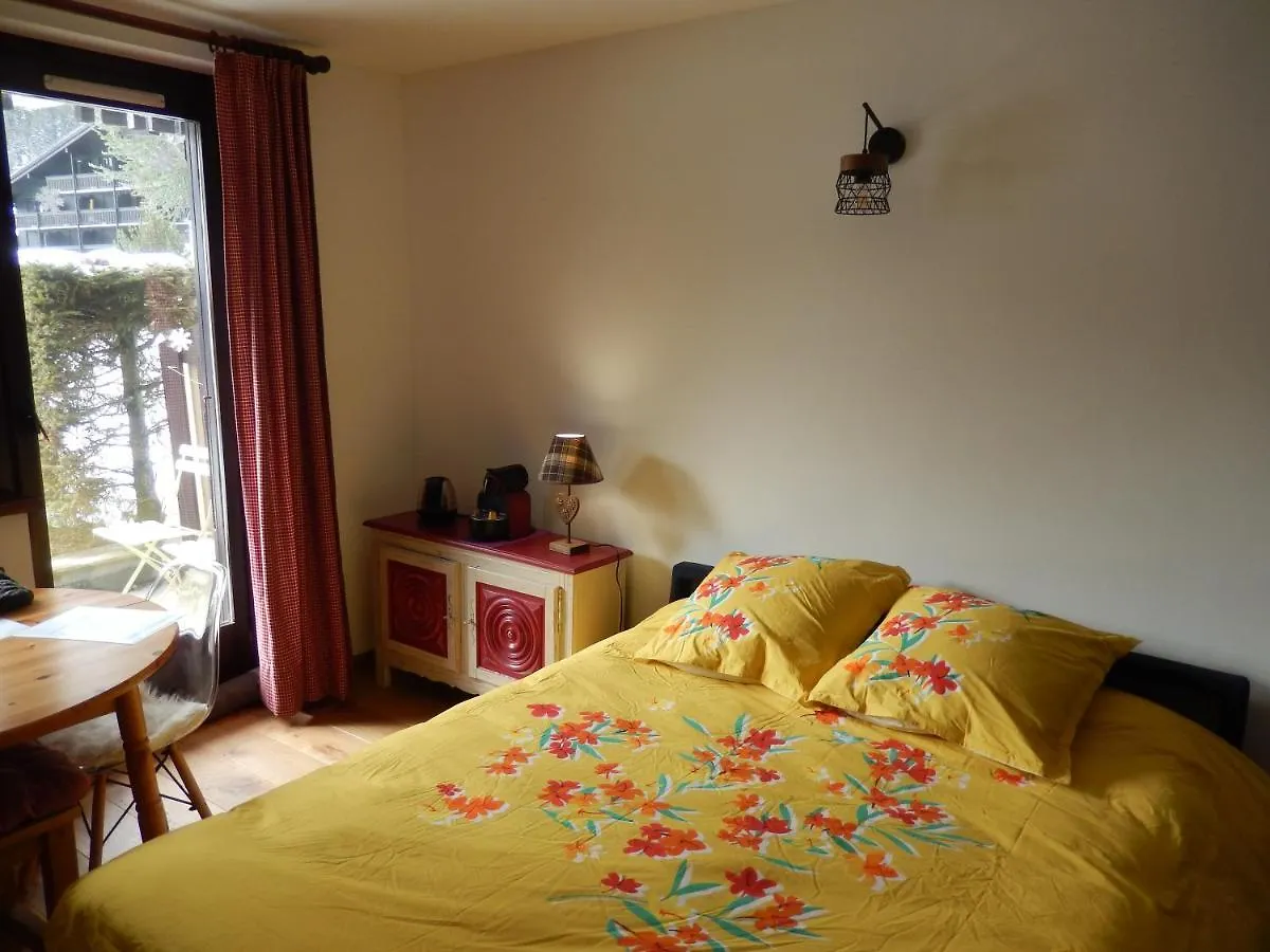 Appartement Studio au calme avec jardin et vue Mont-Blanc Chamonix